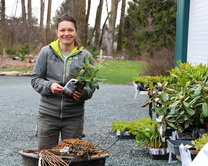 A person holding a potted plant, with more plants nearby, outdoors on a gravel path.