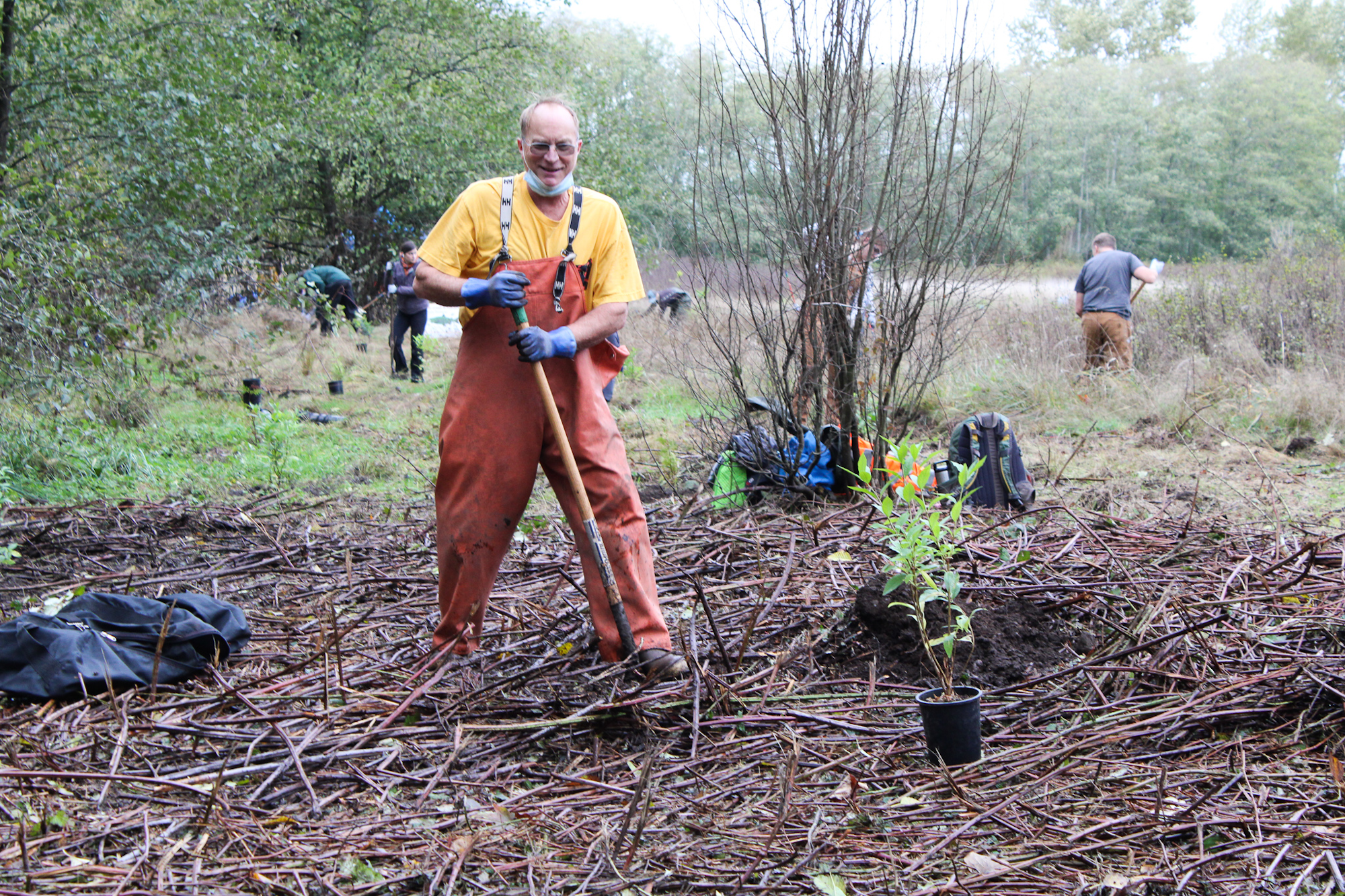 A person in overalls and gloves holding a shovel, surrounded by plants and trees in a wooded area.