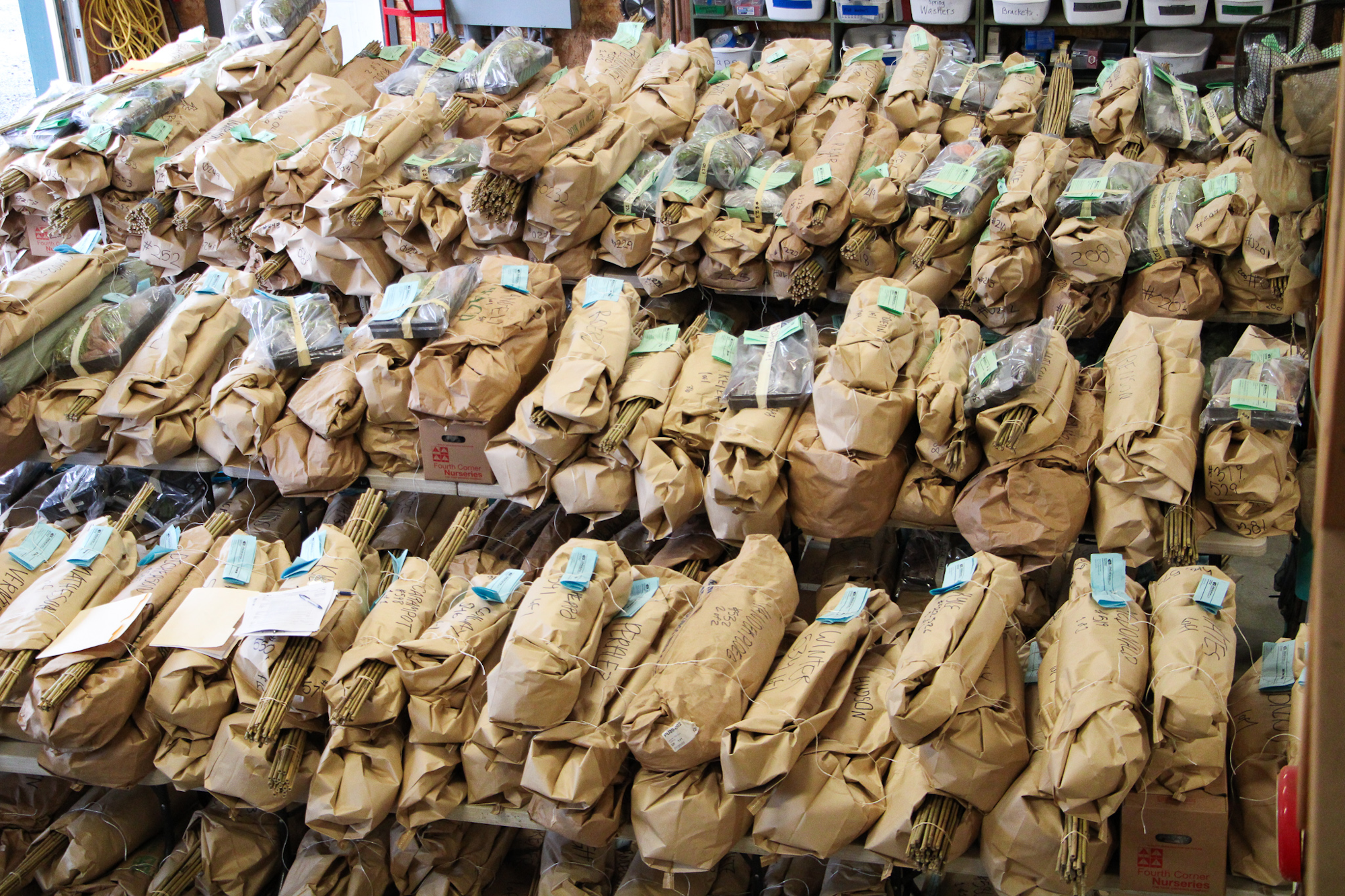 Bundles of plants wrapped in brown paper with labels, organized and stacked on shelves.