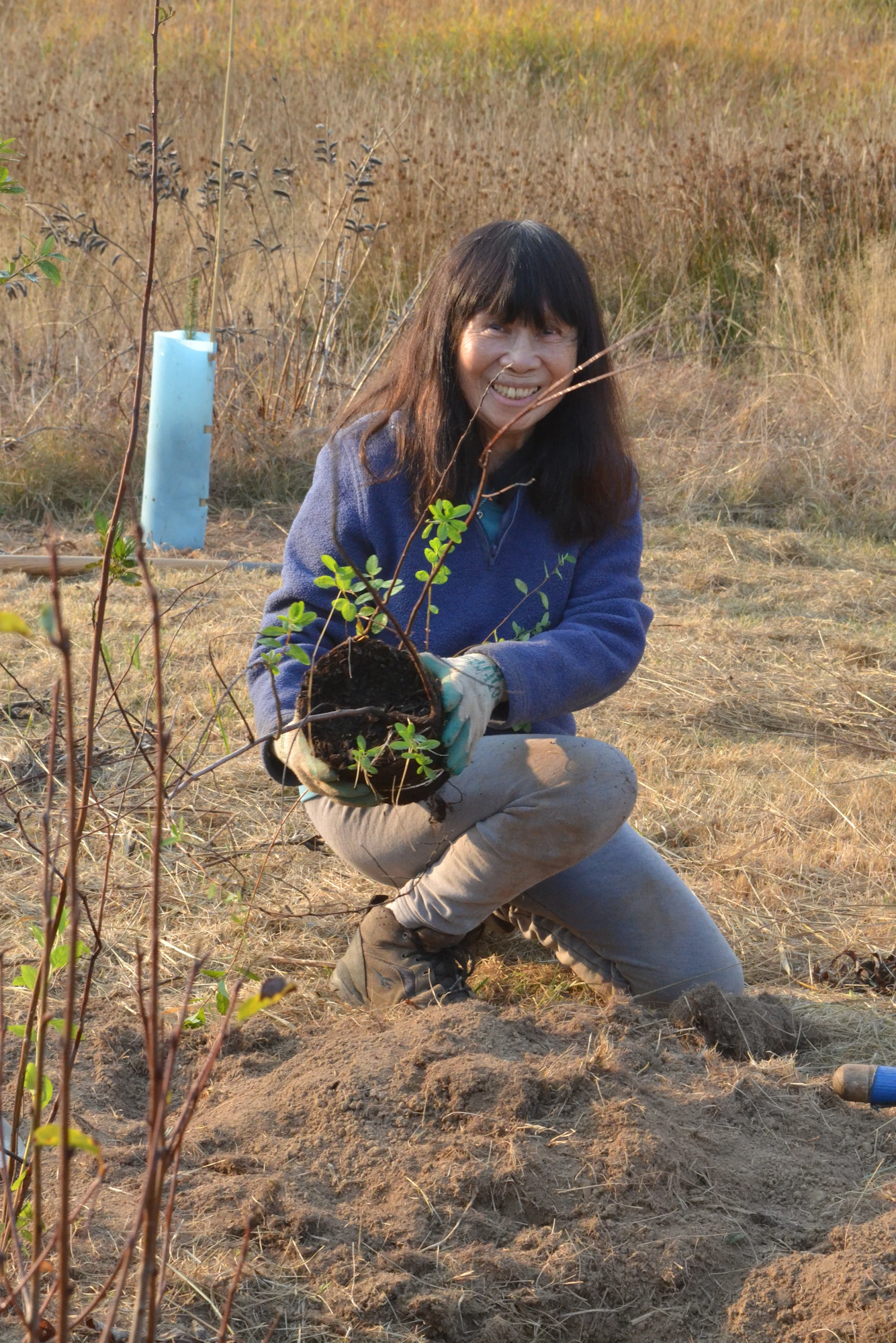 Person planting a small tree in a field, wearing gloves, and smiling.