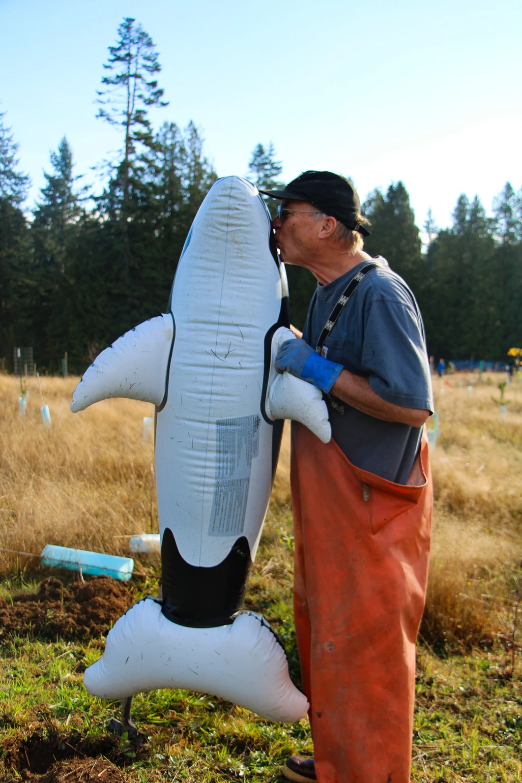 A person kisses an inflatable orca in a field, wearing gloves and orange overalls.