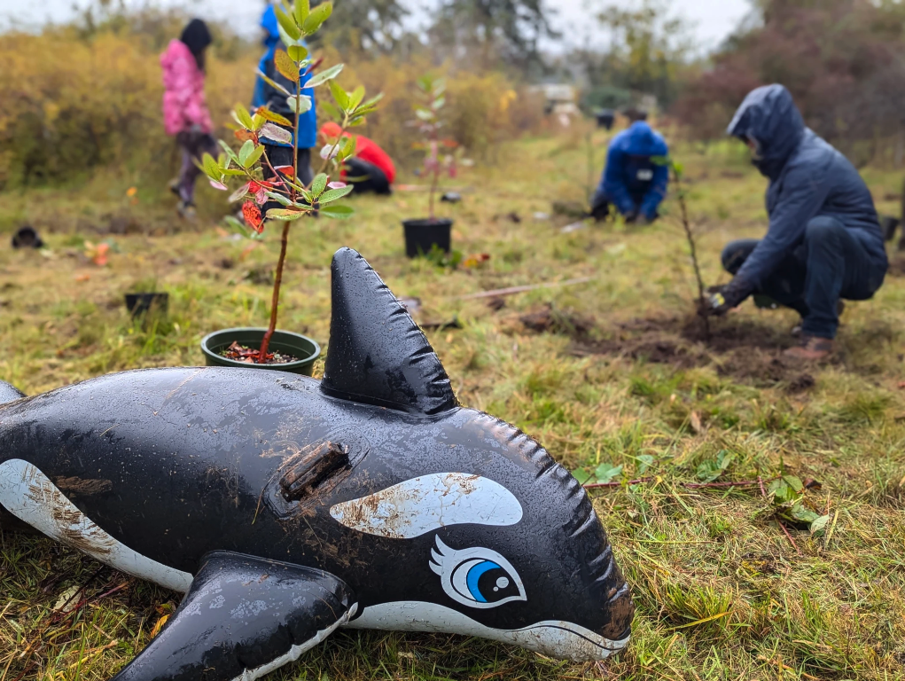 People planting trees outdoors, with a potted plant on an inflatable orca in the foreground.