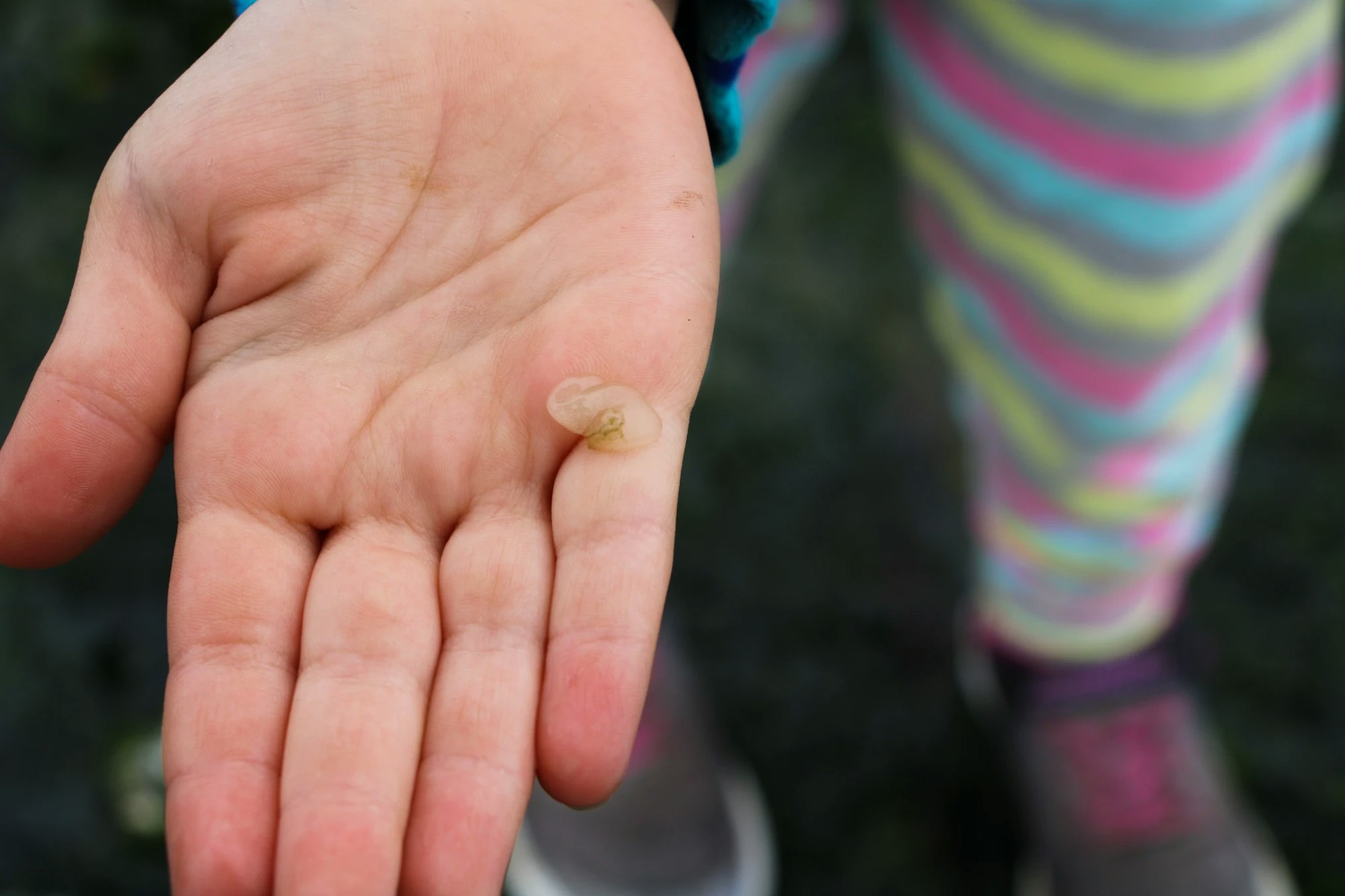 A hand holding a small translucent object with colorful striped leggings in the background.