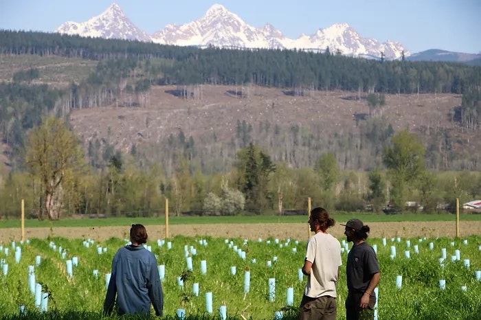 Three people stand in a field with saplings in blue tubes, snowy mountains in the background.