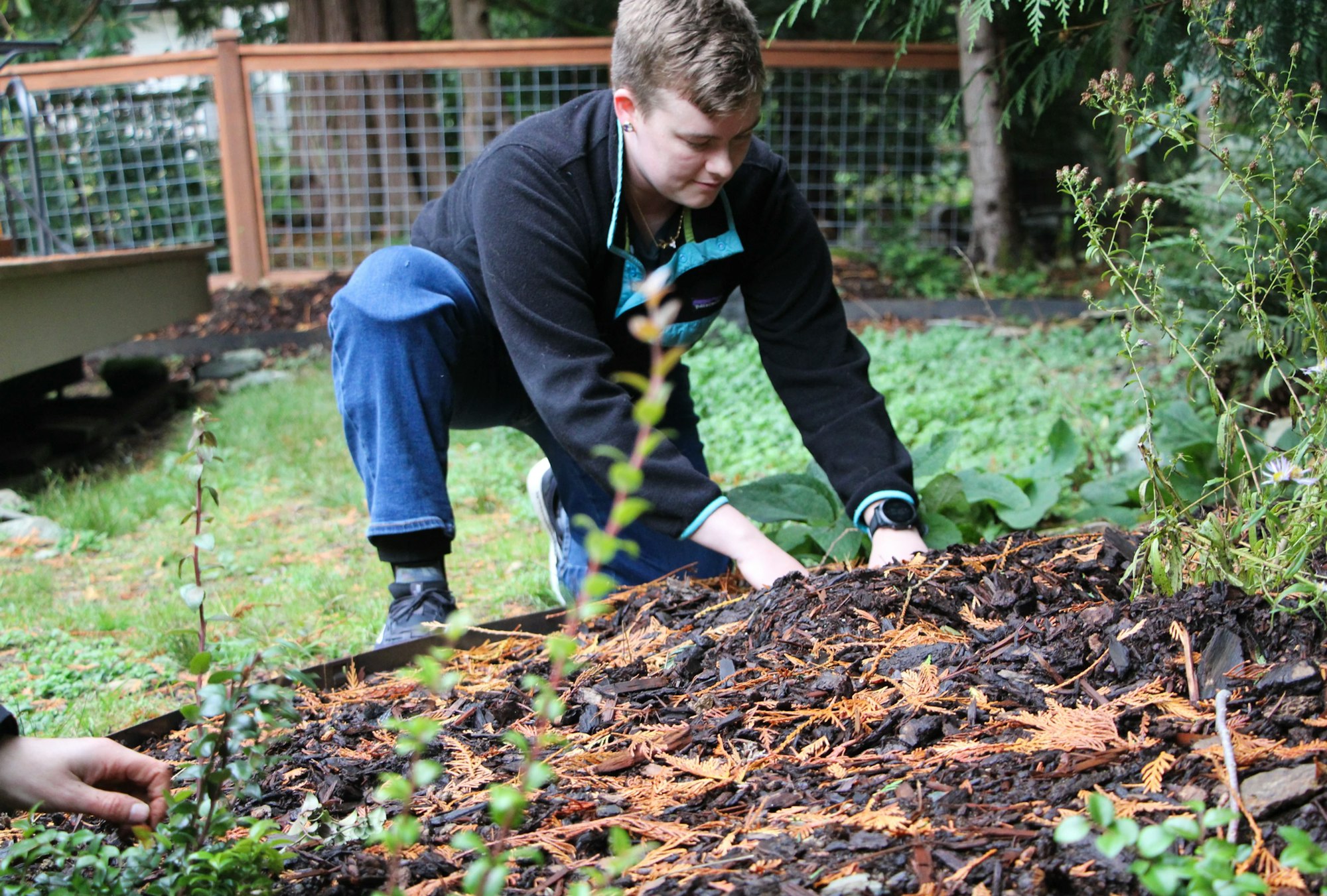 A person planting or tending to a garden bed in an outdoor setting near a fence.