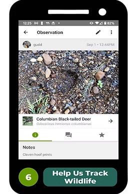 Wildlife tracking app showing Columbian Black-tailed Deer hoof print observation.