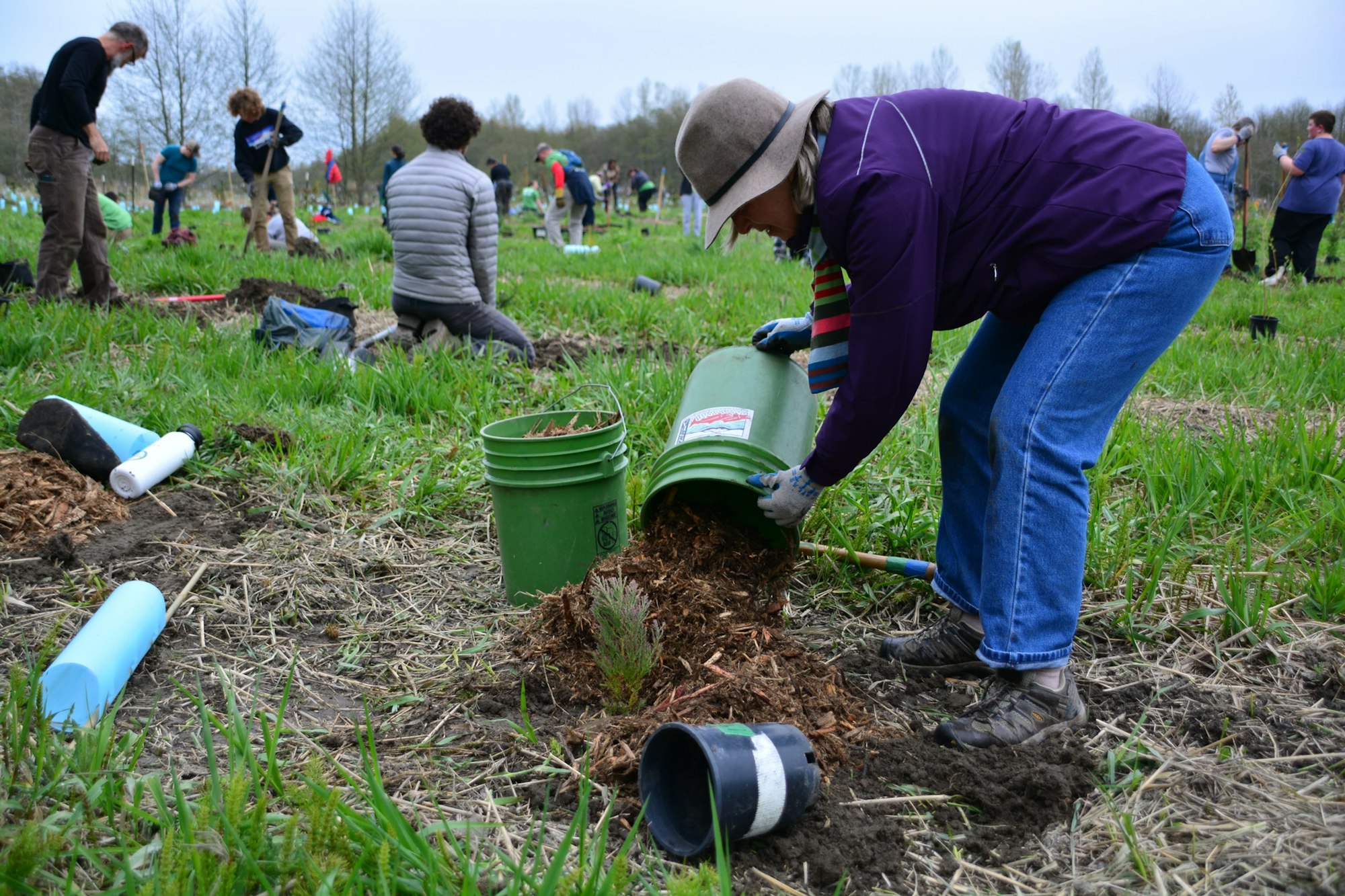 People gardening, planting trees, and spreading mulch in a grassy area.