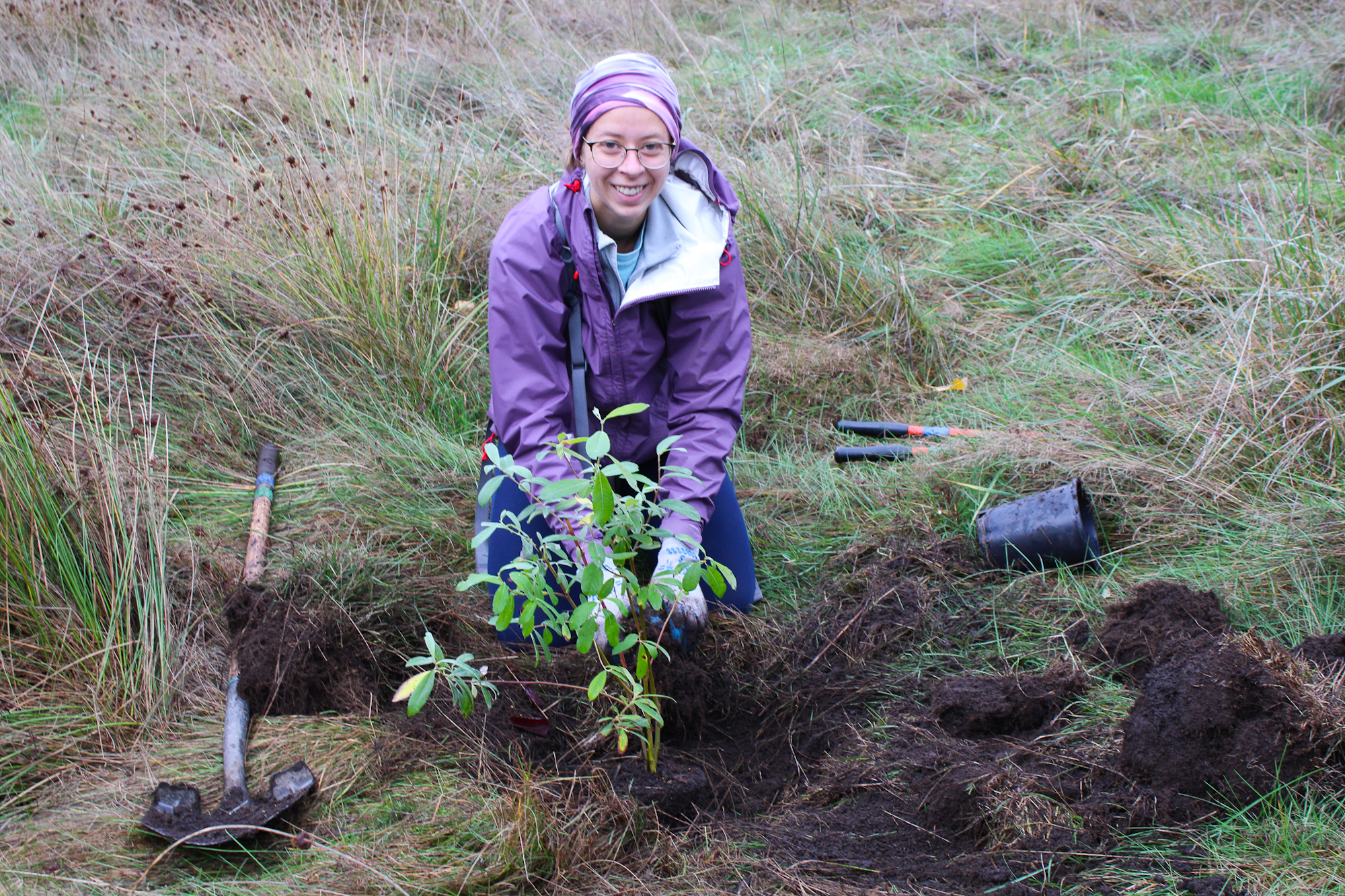 Person planting a small tree in a grassy field, with gardening tools nearby.