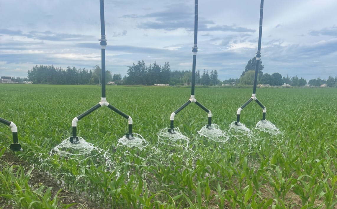 Irrigation system watering a cornfield under a cloudy sky.