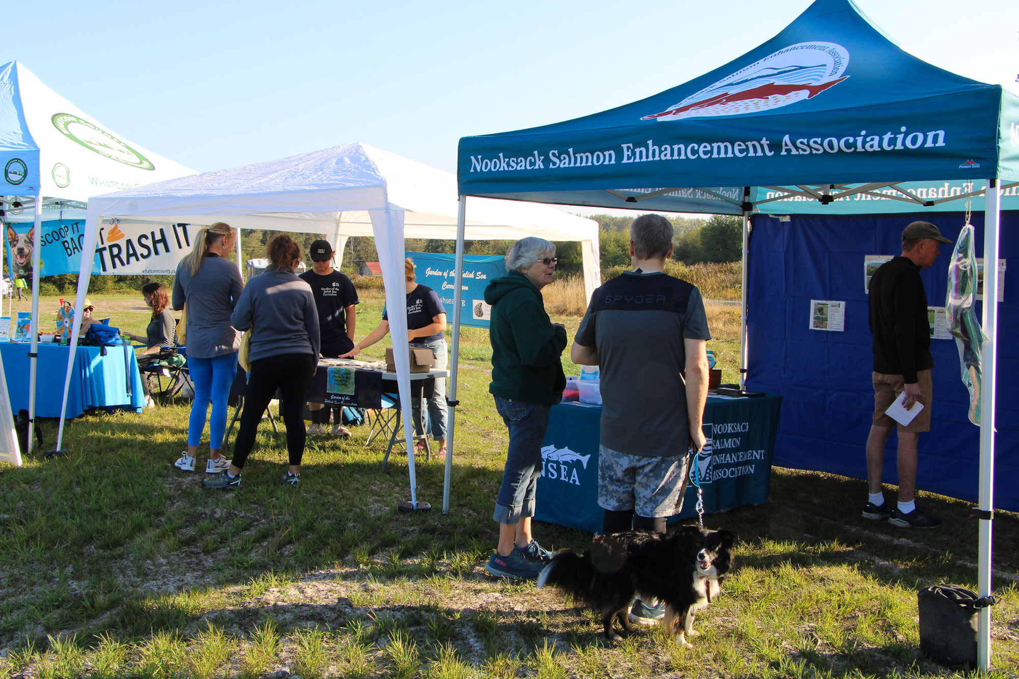 Outdoor event with booths, people, and a dog. Focus on Nooksack Salmon Enhancement Association tent.