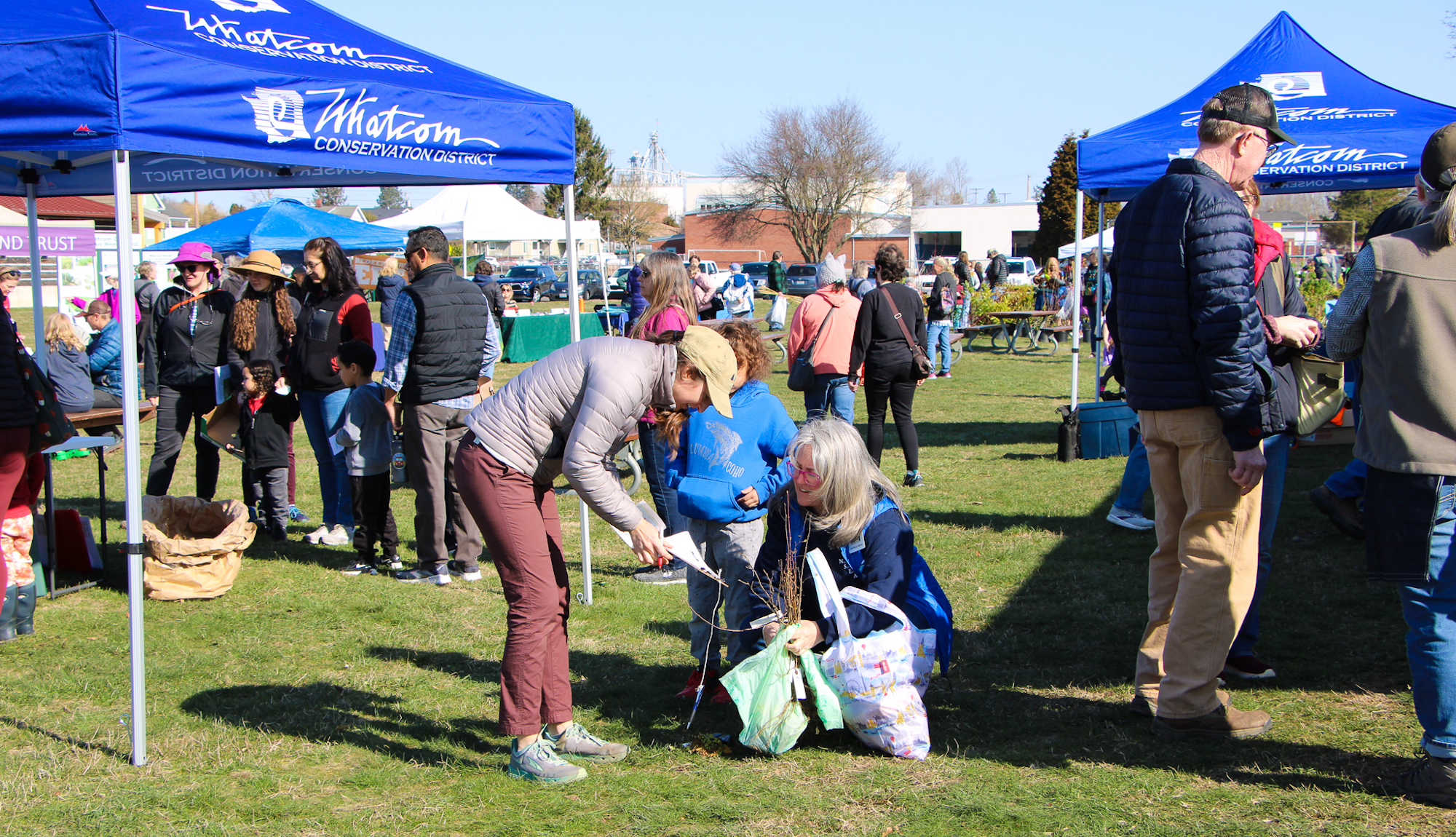 People gathering at an outdoor event, with tents labeled "Whatcom Conservation District" and activities on a sunny day.
