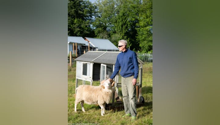 A person in sunglasses pets a sheep in front of a small coop in a grassy area.