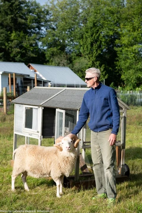 A person in sunglasses pets a sheep in front of a small coop in a grassy area.