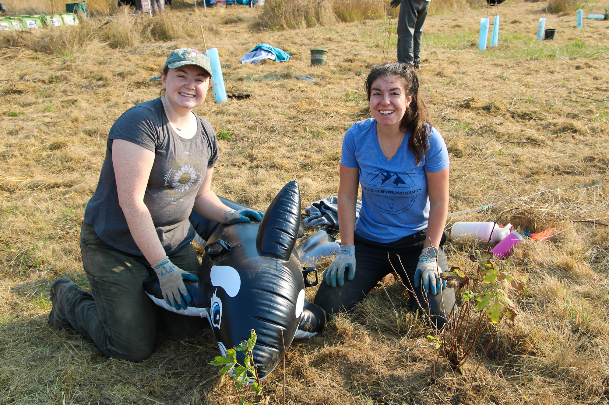 Two people kneeling in a grassy area with a large inflatable orca between them.