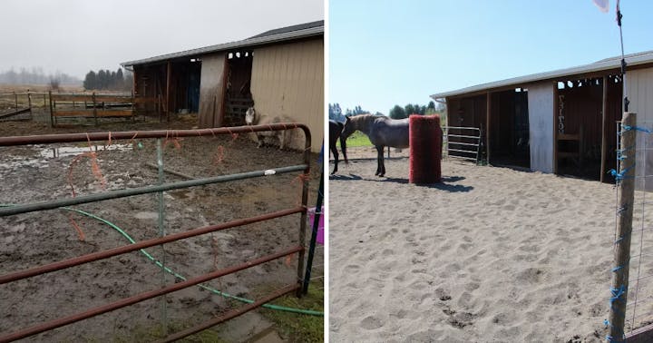 Two images showing a barn area: left is muddy with a horse, right is clean and sandy with a horse.