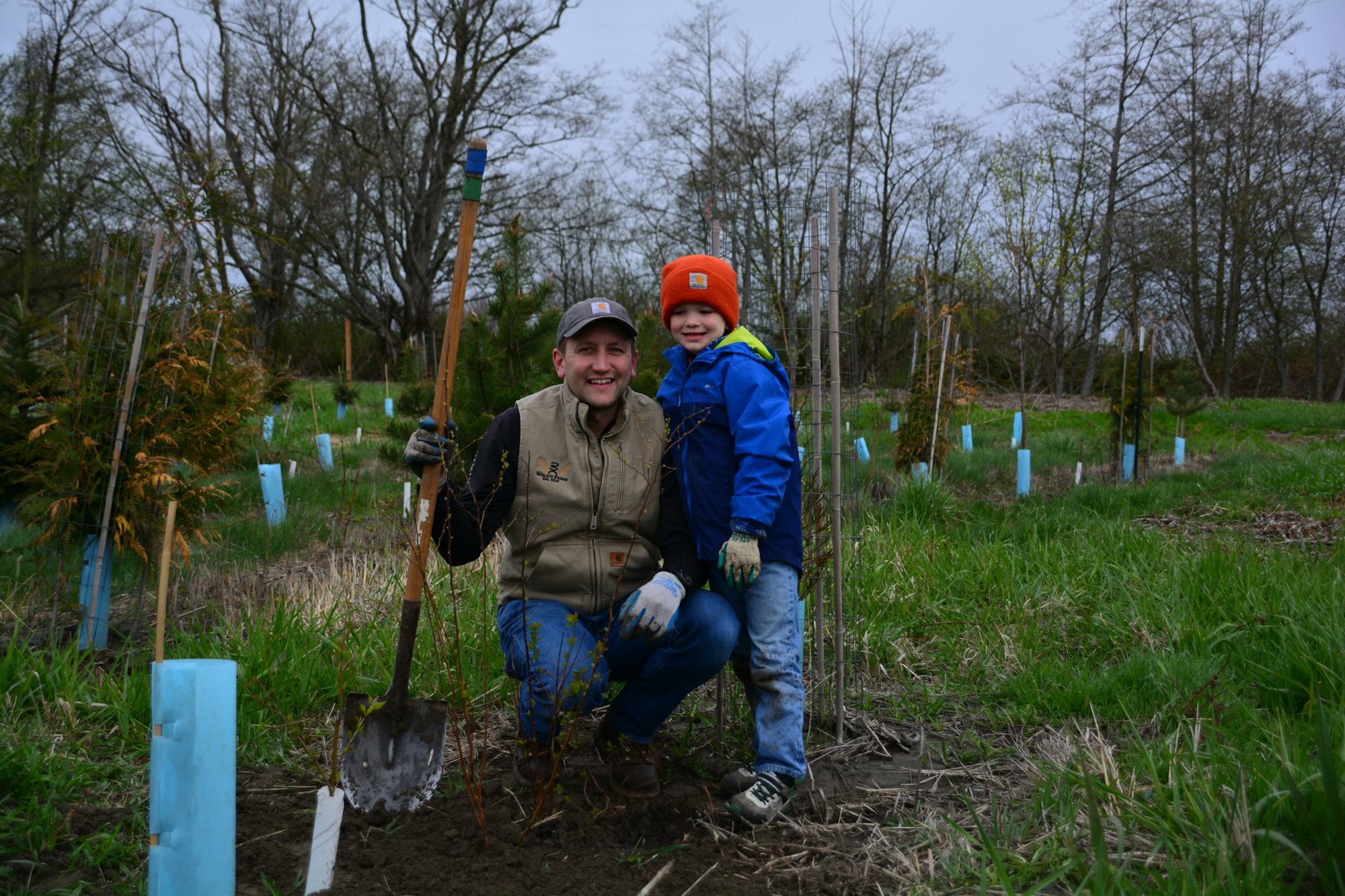 Two people planting trees in a field with soil, seedlings, and tree guards visible.