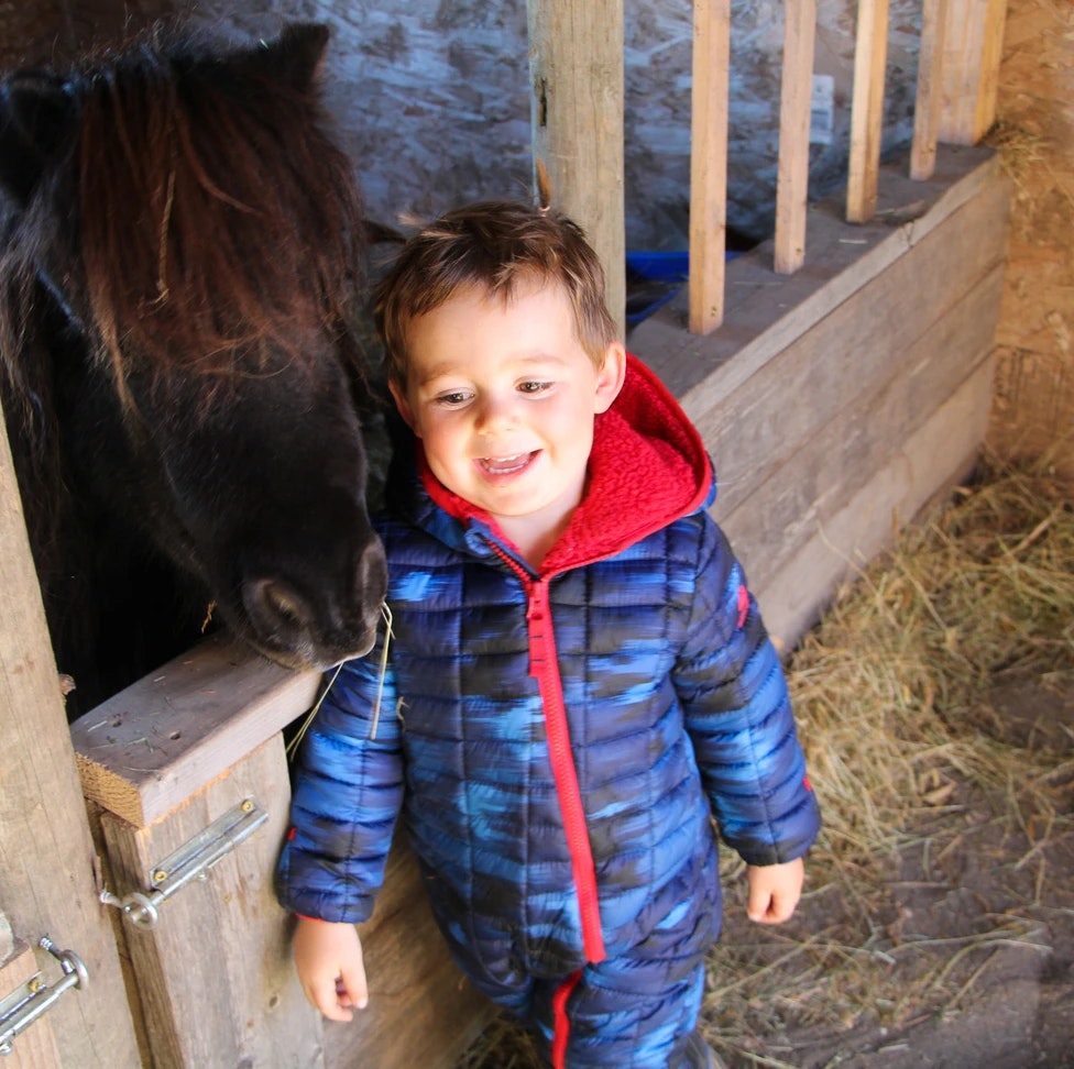 A child in a blue coat smiles next to a black pony inside a stable.
