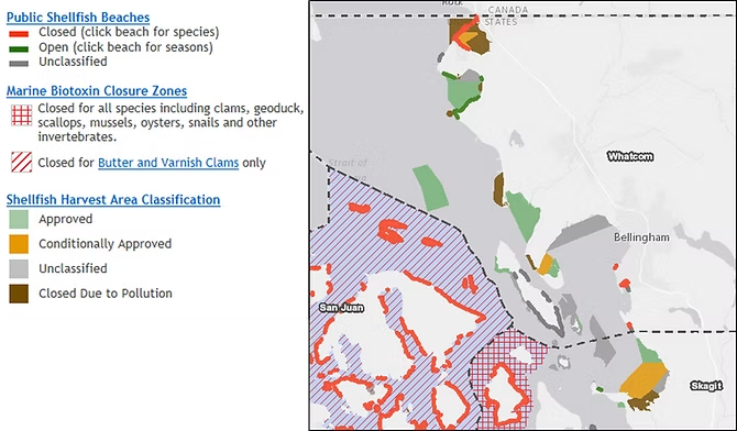 Map of shellfish beach closures and classifications in Northwest Washington state, indicating areas unsafe due to pollution and biotoxins.
