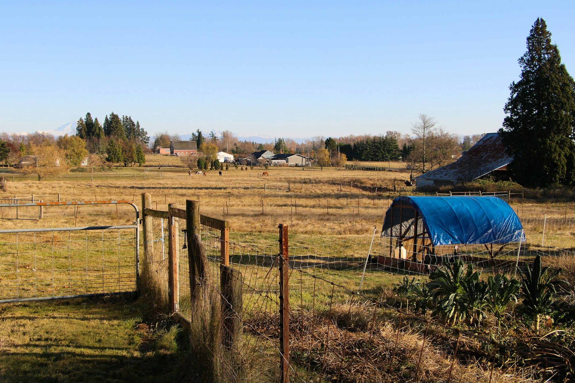 A rural landscape with fields, a few buildings, trees, and a blue tarp-covered structure in the foreground.