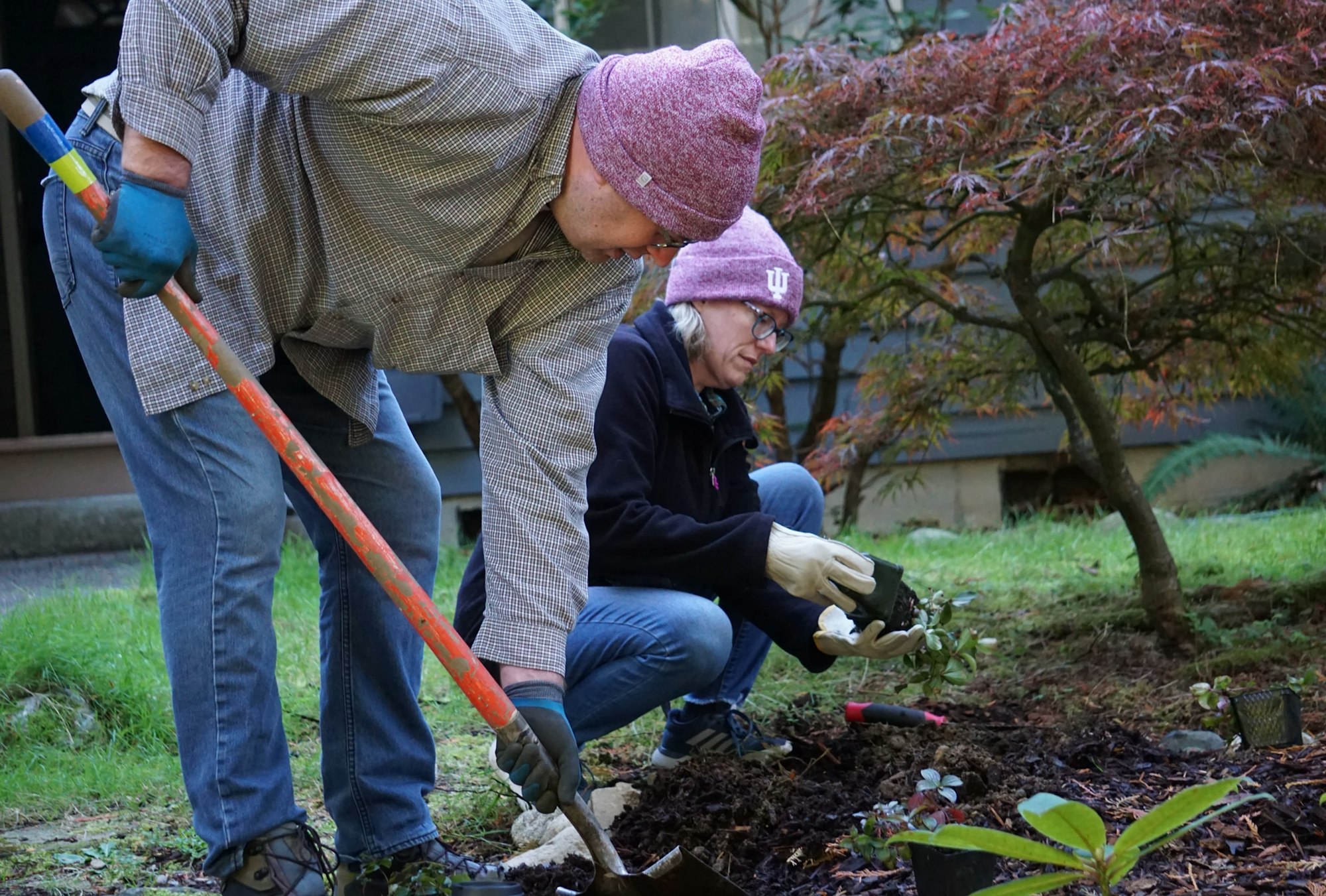 Two people gardening, one digging with a shovel and the other planting a small plant.