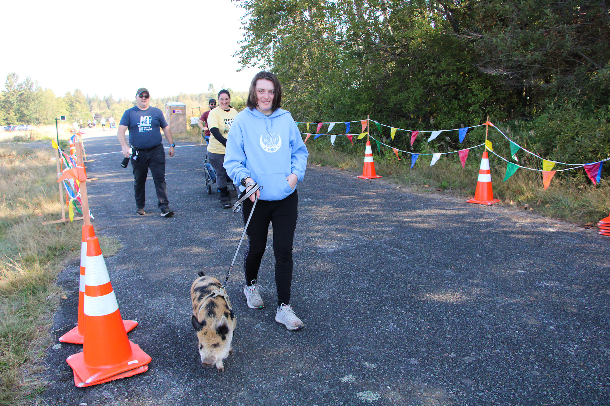 People walking on a path with a pig on a leash, surrounded by traffic cones and festive flags.