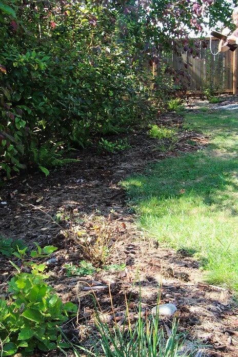 A garden with a grassy area and a border of shrubs and plants, next to a wooden fence.