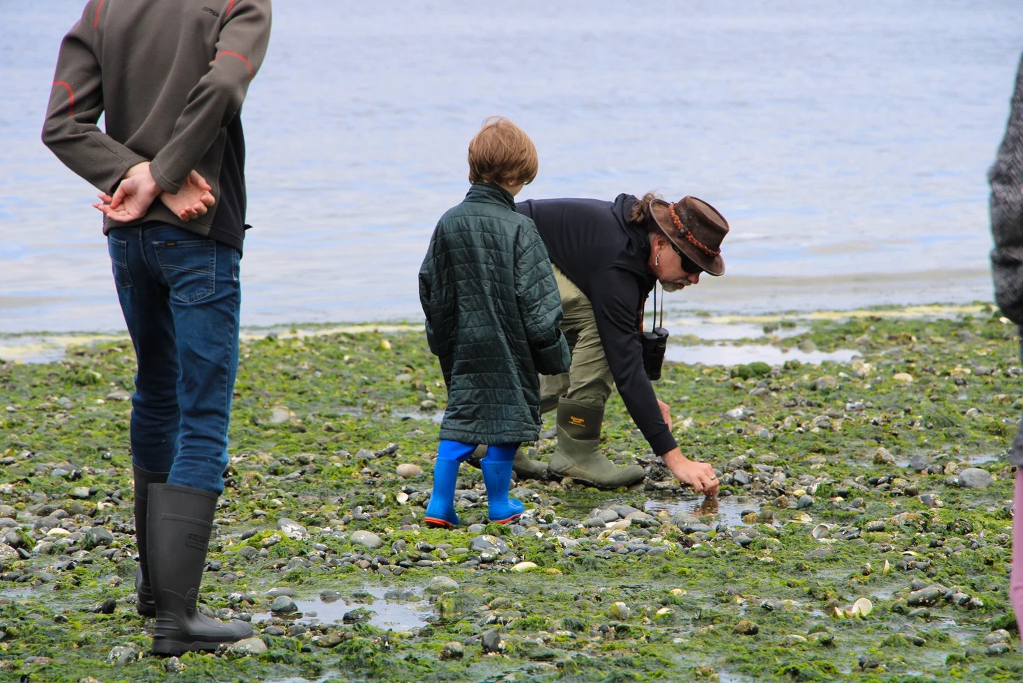 People exploring a rocky shoreline near the water, one bending to examine something.
