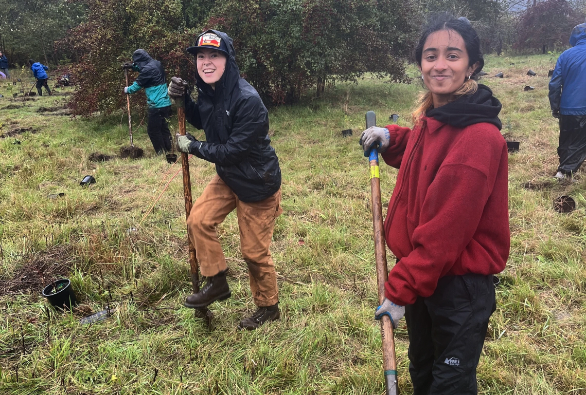 People planting trees in a grassy area, holding shovels.