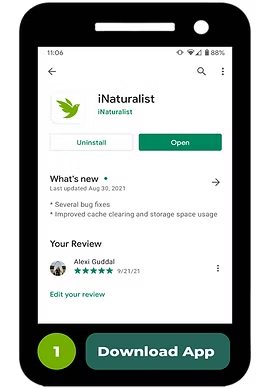 iNaturalist app page, option to uninstall or open, update info, user review.