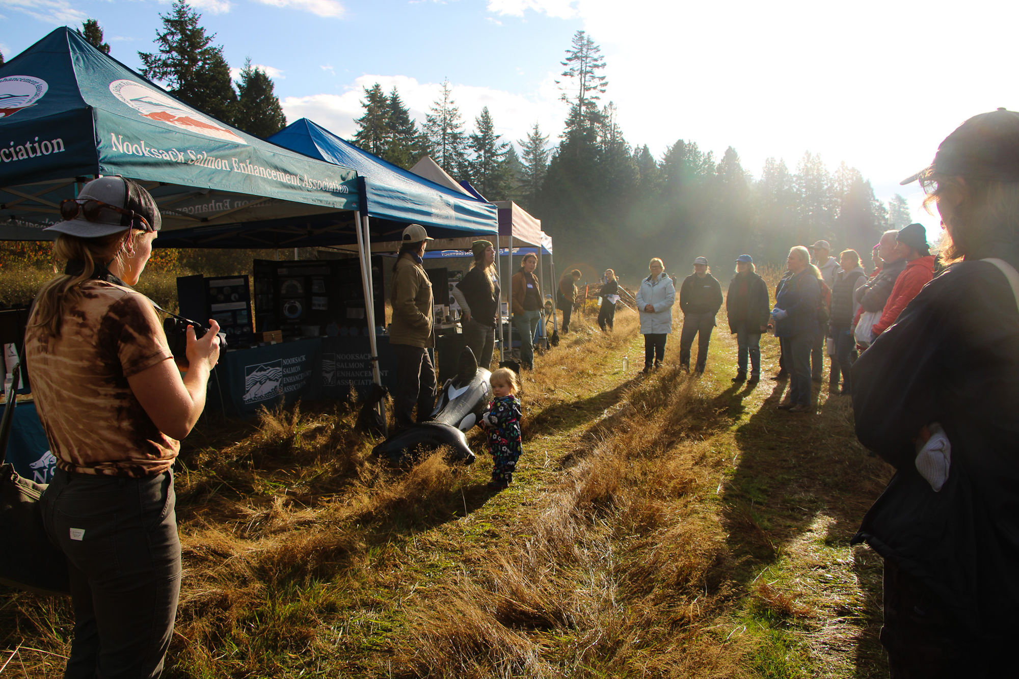 People gathered outdoors by tents at an event, with sunlight in the background and trees surrounding.