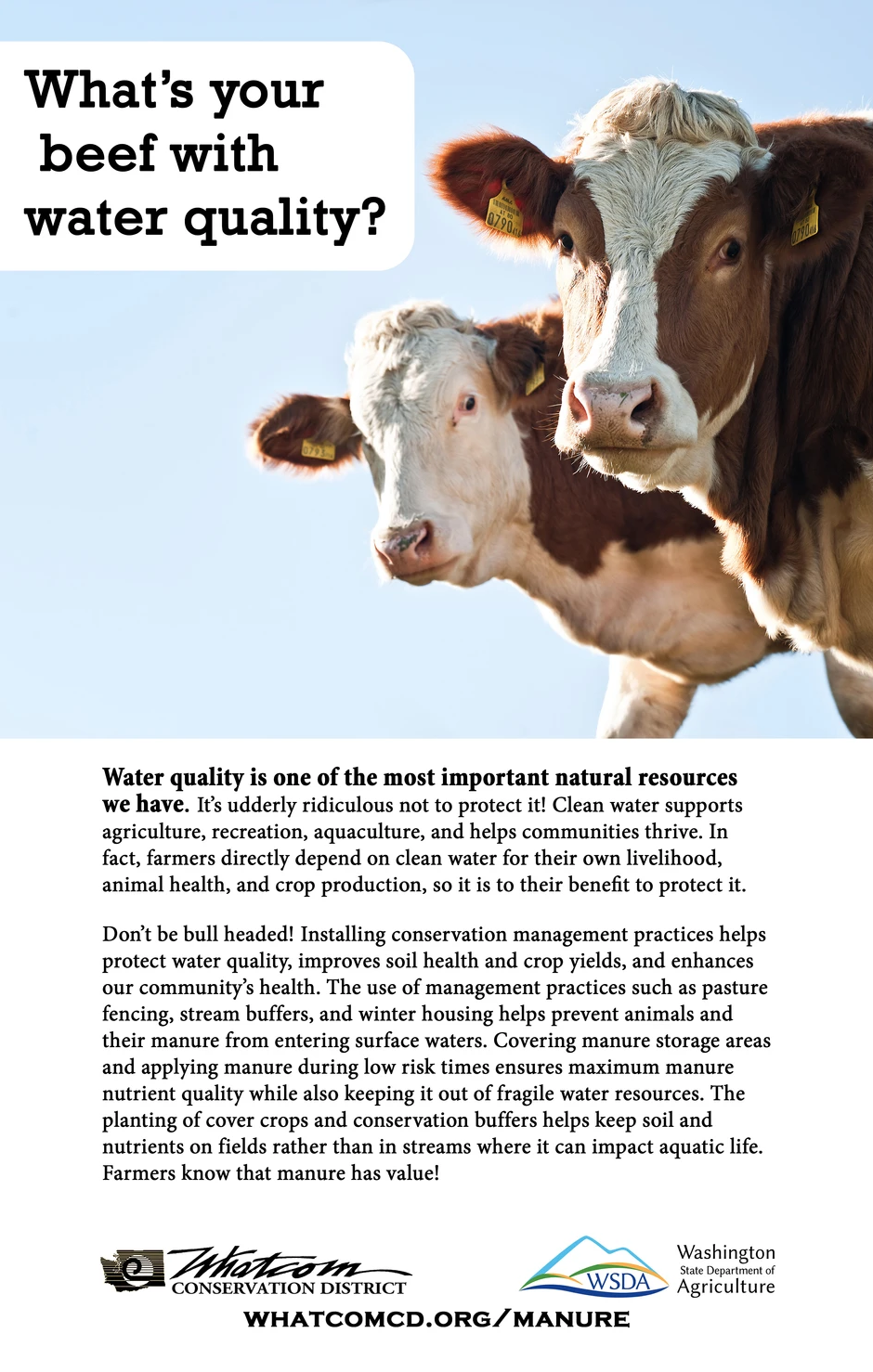 Cows with text promoting water quality through conservation practices. It emphasizes clean water's importance for farming and communities.