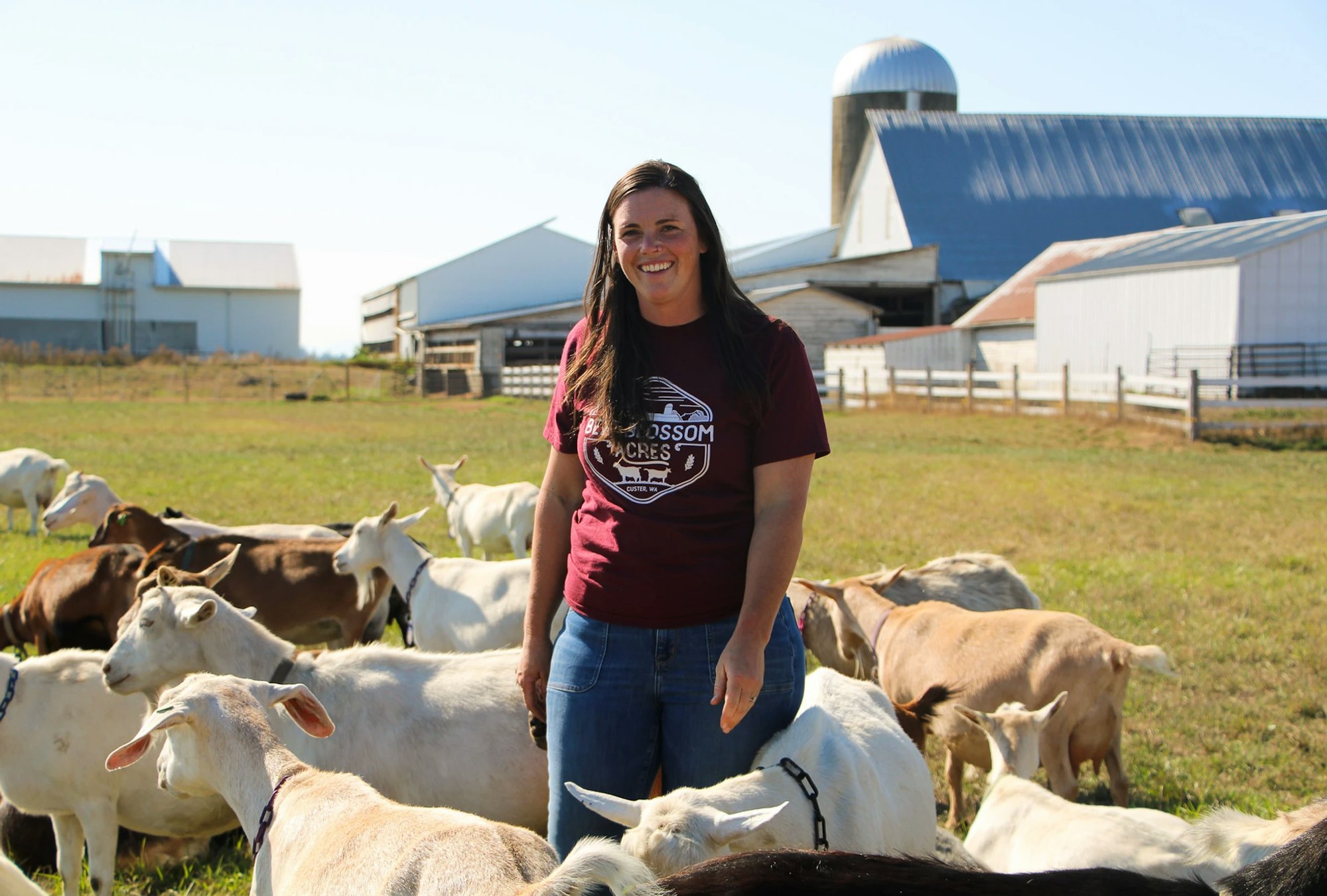 A person standing in a field surrounded by goats, with barns in the background.