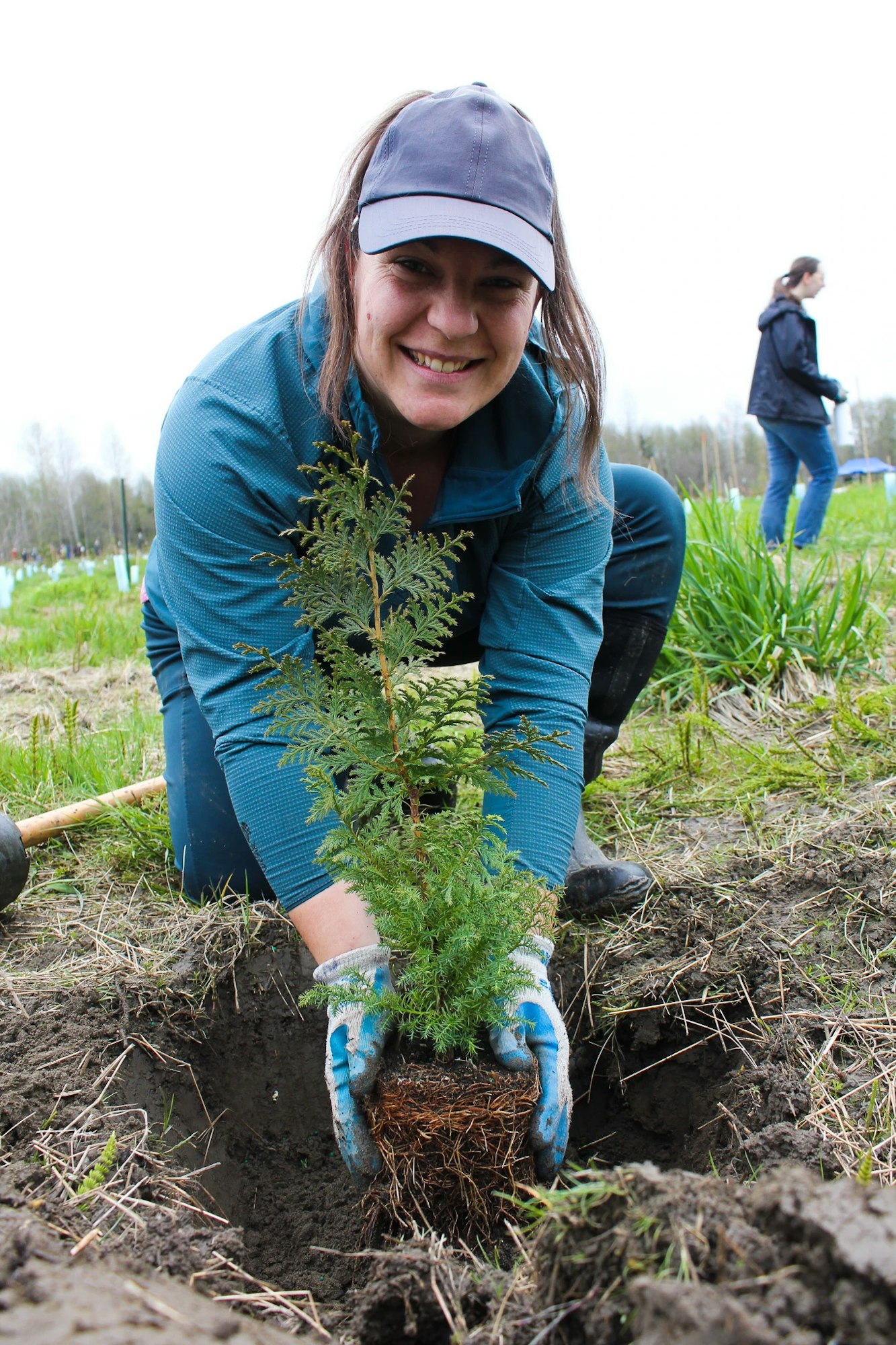 Person planting a small tree in a field, smiling, wearing a hat and gloves.