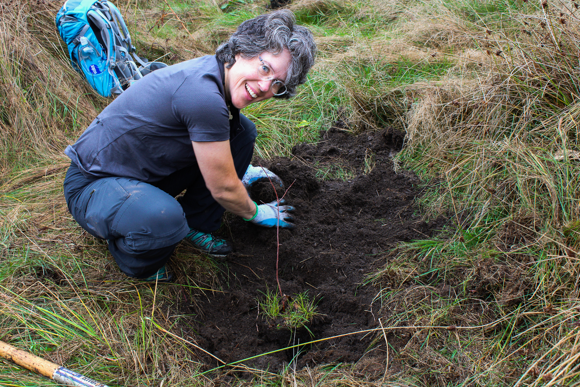 A person planting a small tree sapling in the ground with gardening gloves.