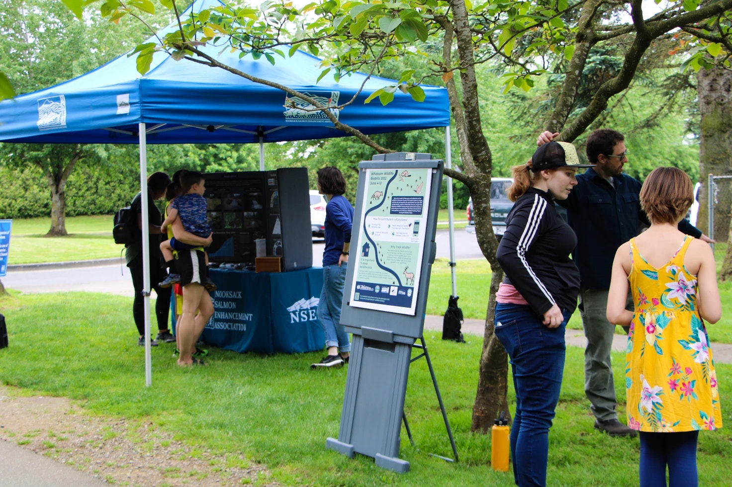 Outdoor information booth under a blue tent with people gathered around, surrounded by trees and grass.
