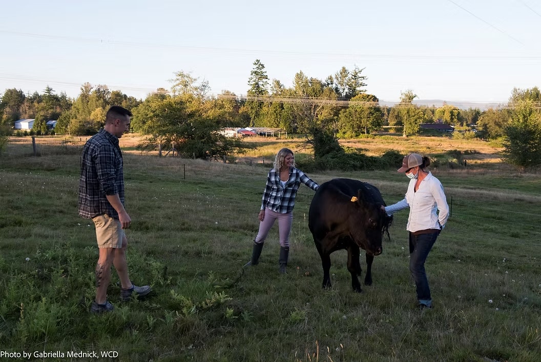 Three people standing with a cow in a grassy field.