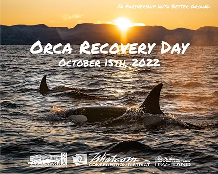 Orcas swimming at sunset with text: "Orca Recovery Day, October 15th, 2022" and logos at the bottom.