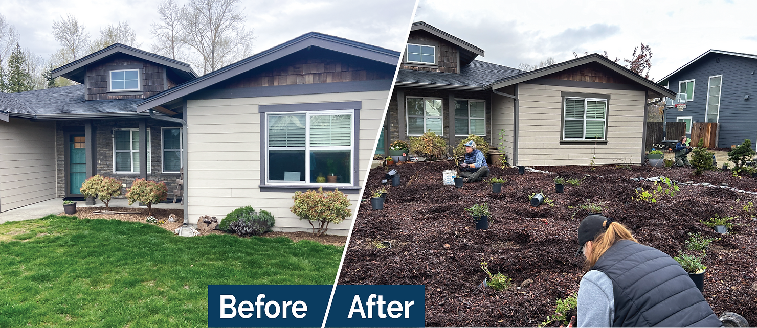 Before and after phot of landscaping