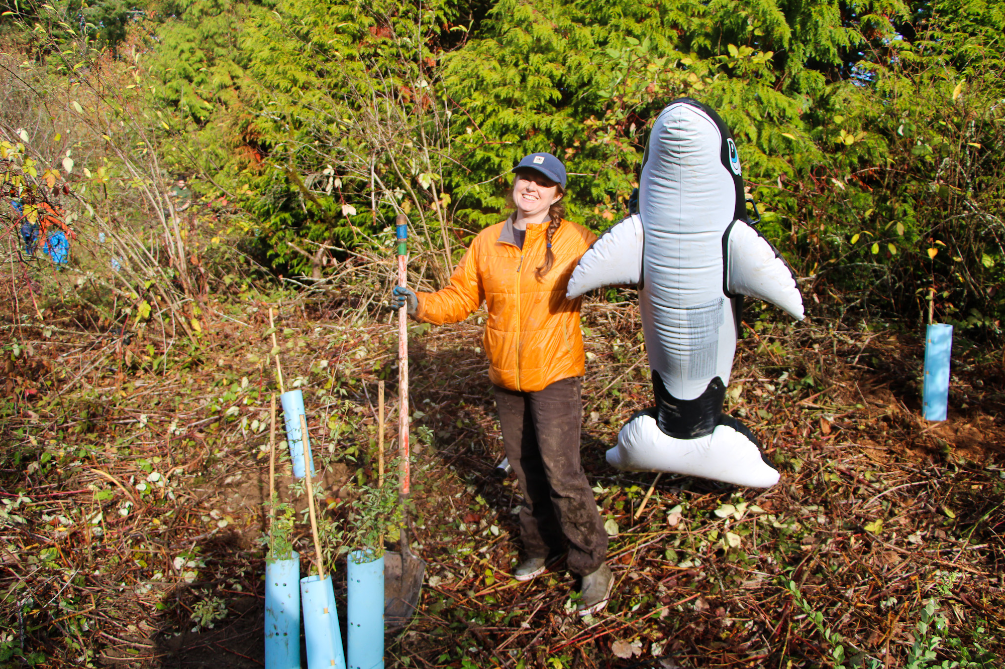 Person in an orange jacket with a shovel and inflatable orca, standing in a forested area with planting tubes.
