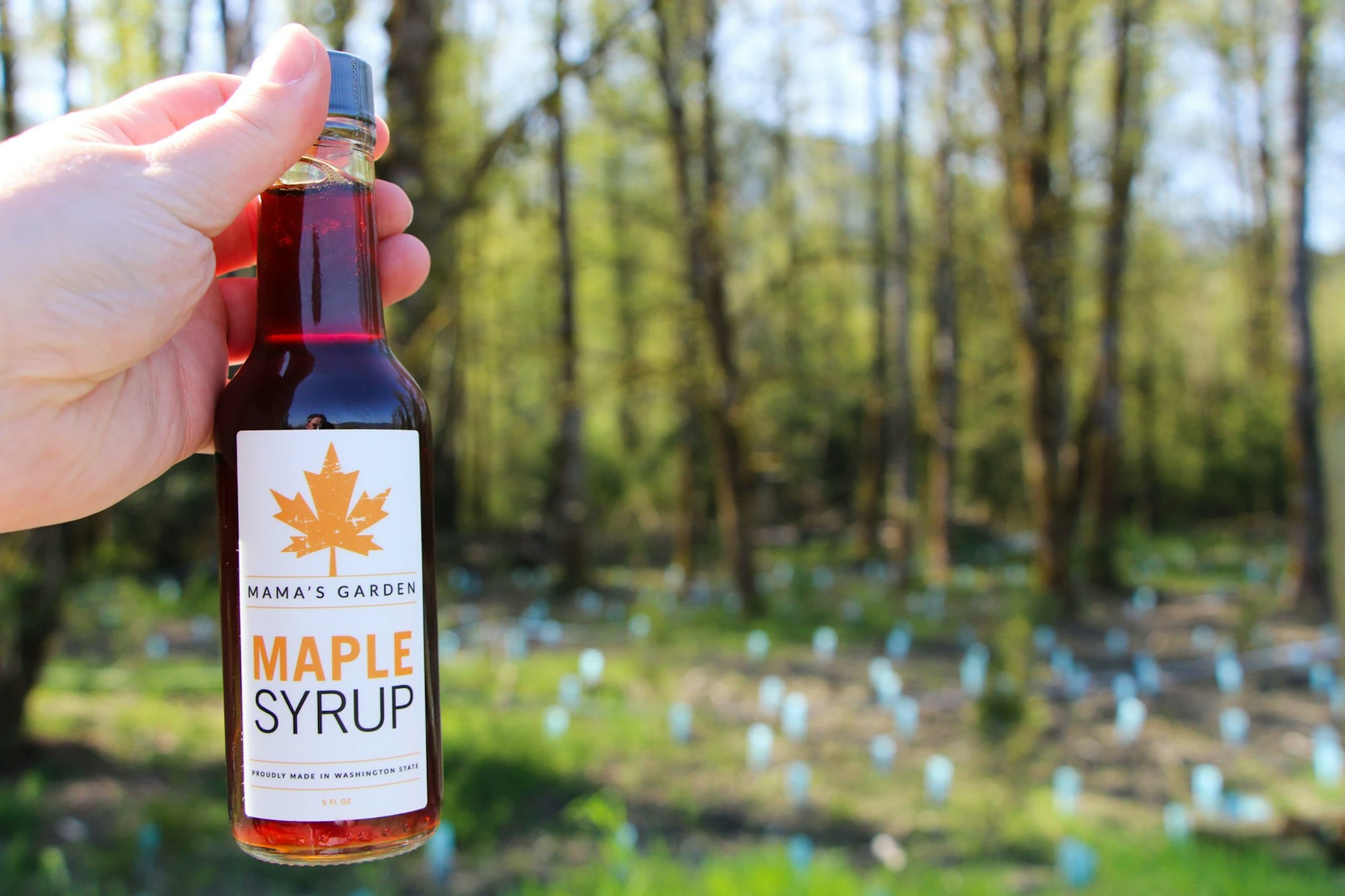 A hand holding a bottle of "Mama's Garden Maple Syrup" with a forest background.