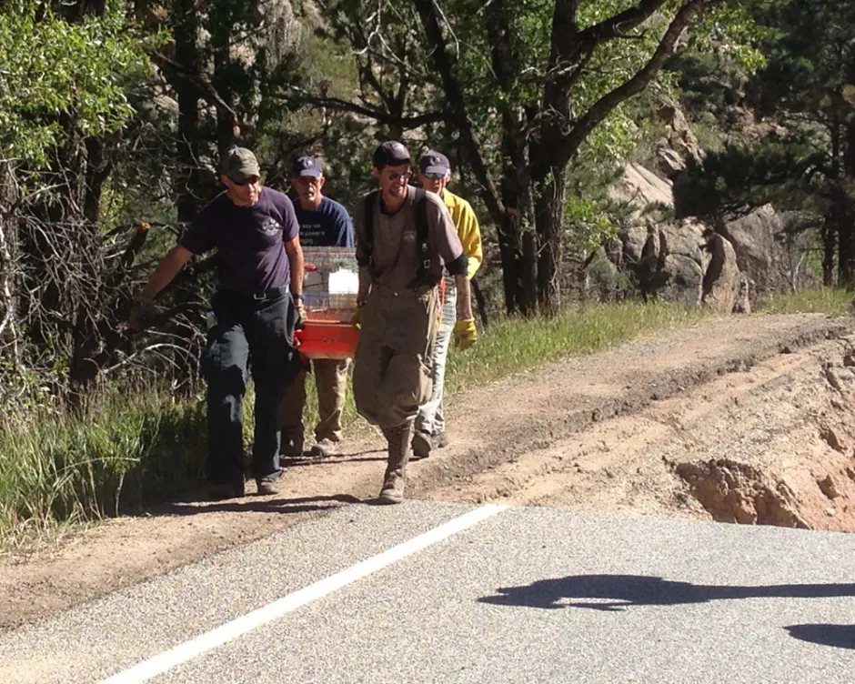 Photo of four people carrying a box near a damaged roadway: mash_10_email-Tough Bunny 1