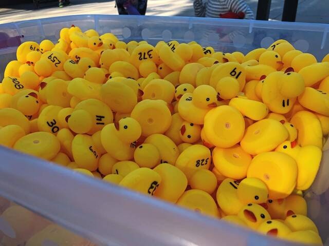 A bin full of numbered yellow rubber ducks, likely for a game or raffle.