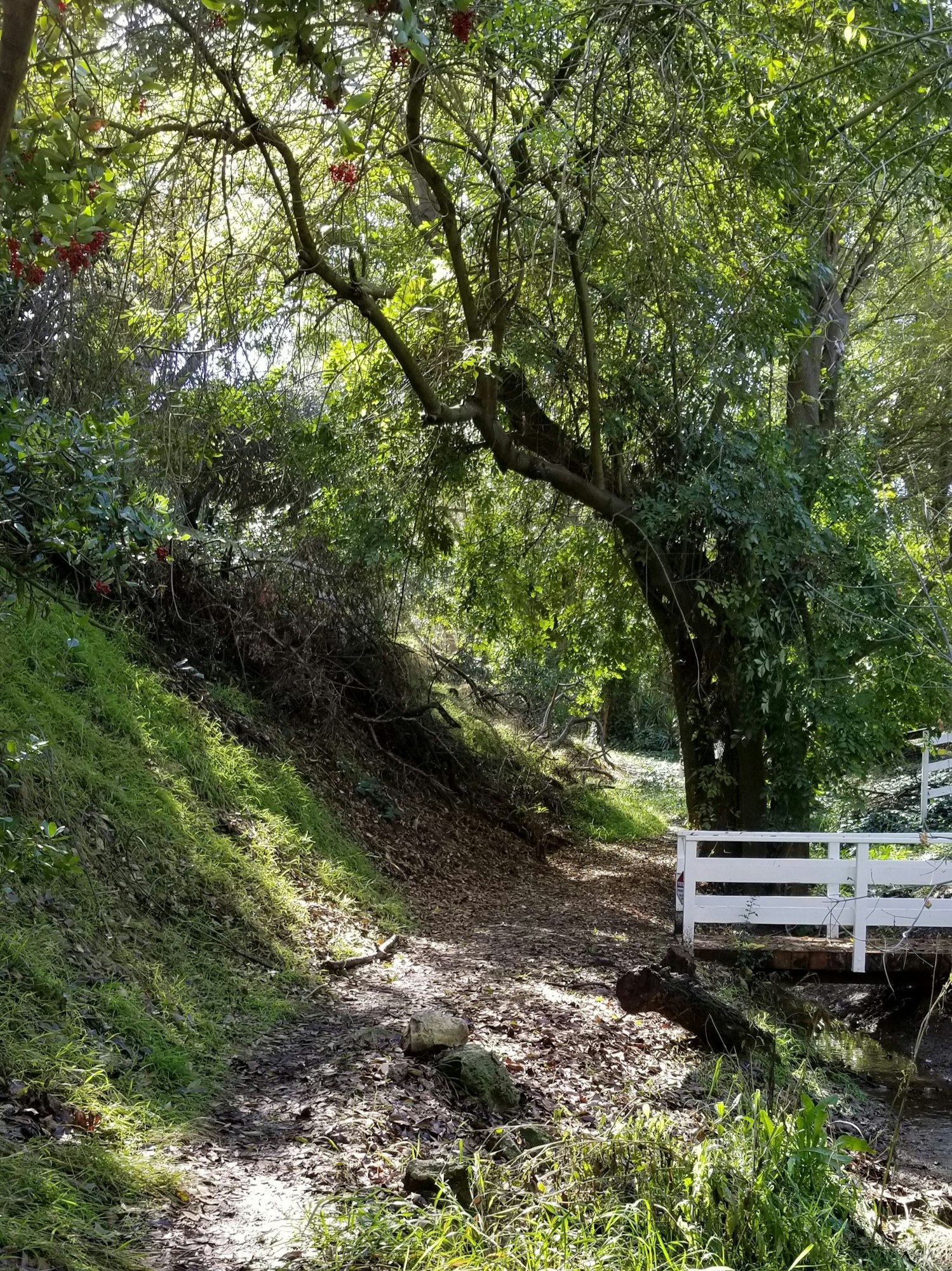May contain: outdoors, road, path, tree, plant, gravel, and dirt road