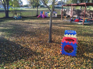 May contain: play area, outdoor play area, outdoors, grass, and plant