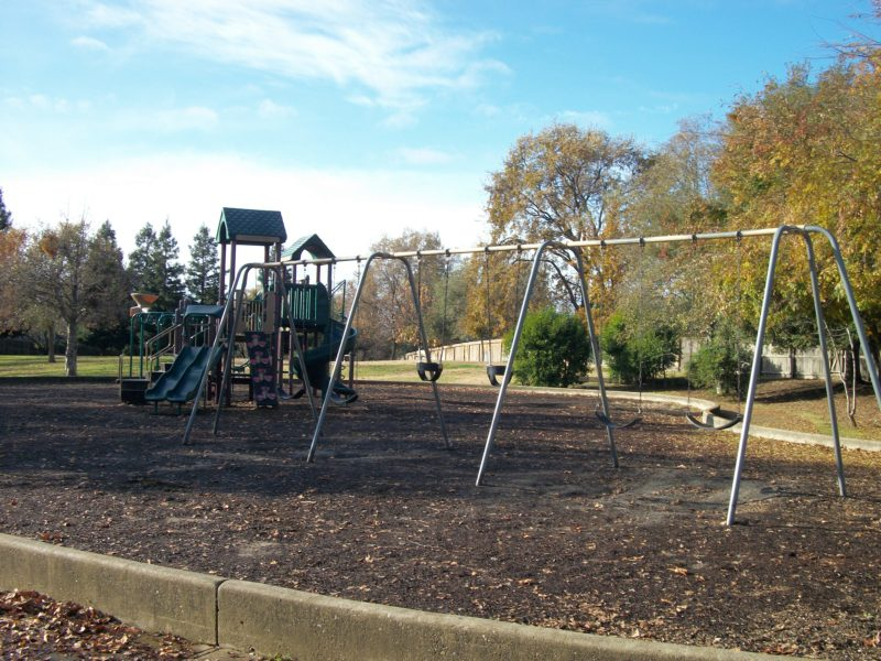 May contain: outdoor play area, play area, outdoors, grass, and plant