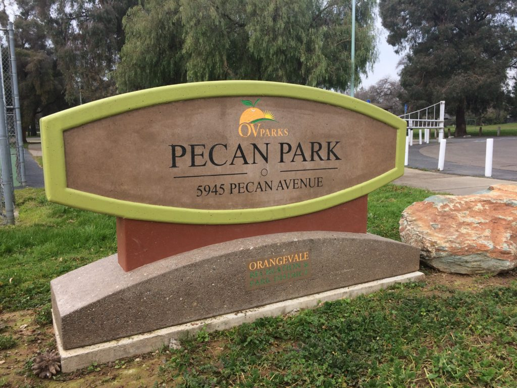 May contain: park, grass, outdoors, plant, nature, tomb, gravestone, and vegetation