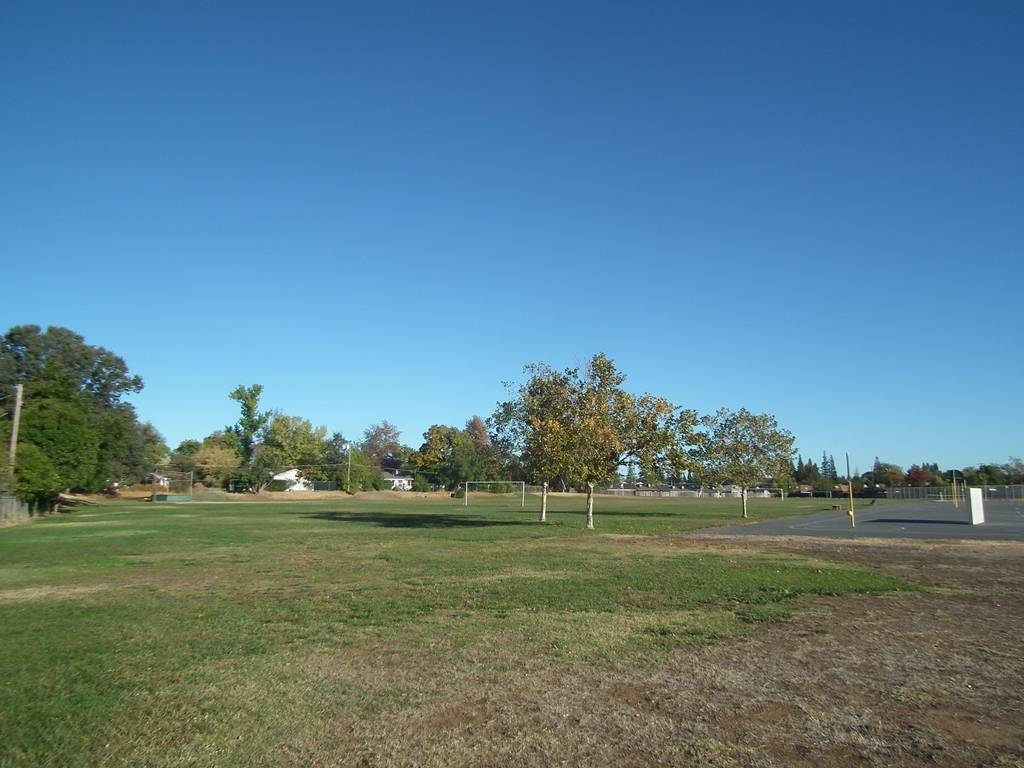 May contain: field, grass, plant, nature, outdoors, park, tree, lawn, golf course, sport, and golf