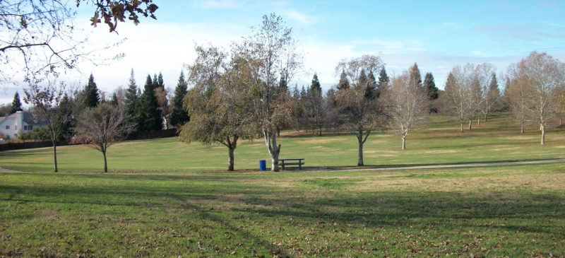 May contain: park, grass, nature, outdoors, plant, field, tree, grove, vegetation, woodland, land, bench, furniture, and lawn