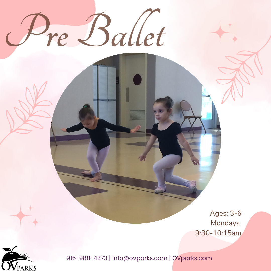 The image features two young girls in ballet attire practicing Pre Ballet. It includes class details and contact info.