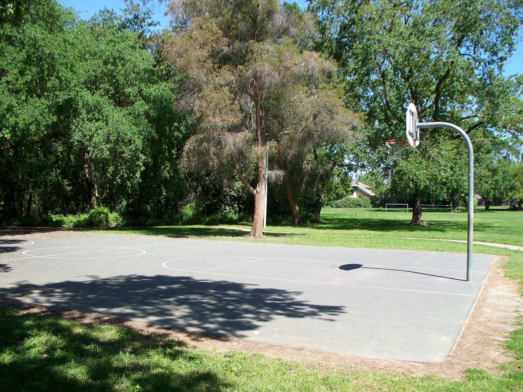 Basketball court